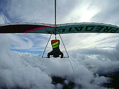Soaring in the Clouds